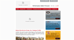 Desktop Screenshot of ngsgi.com